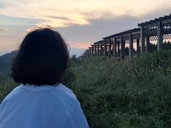 -白草畔自然风景区