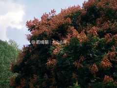 -贵阳市花溪国家城市湿地公园