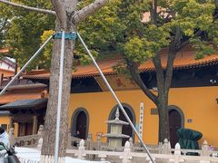 -亭林园-华藏寺