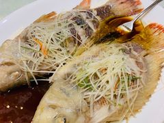 -北京兴基铂尔曼饭店
