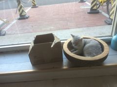-青春加萌照相馆
