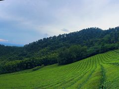 -敬亭山风景名胜区