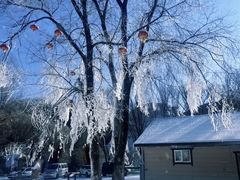 -玉渡山自然风景区