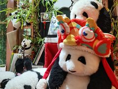 -轩客会(熊猫书店)