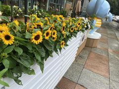 -小象润知早教·托育·幼儿园成长中心
