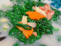 上汤枸杞叶-沙龙酒家