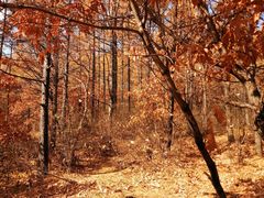 -白草畔自然风景区