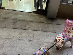 -瑞鹏·疫苗·绝育·宠物医院(金沙洲店)