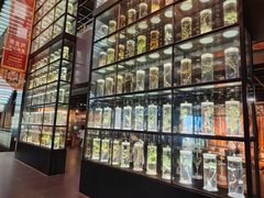 -广东中医药博物馆