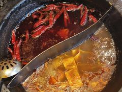 -蜀大侠火锅(总府路店)