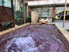 -春晖园度假酒店温泉