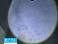 -索菲亚衣柜橱柜全屋定制(真北红星店)