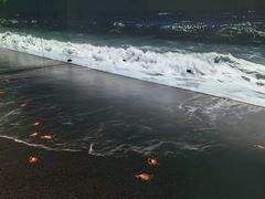 -广东科学中心