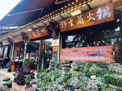 -源之原味·野生菌火锅(大理古城店)