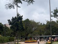 -石排湾郊野公园
