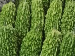 -昆明东站水果交易市场