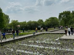 -溱湖国家湿地公园