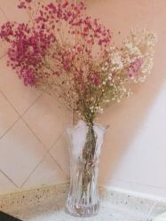-苗塑堂减肥艾灸