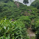 天台山景区