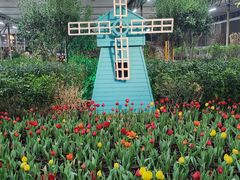 -南宫五洲植物乐园