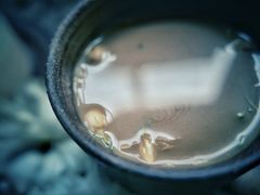 -Seesaw Coffee(西岸凤巢店)