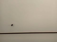 -良子足浴(国贸大厦店)