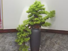 -御膳粥·牛乳粥底火锅·地道顺德菜(容桂店)