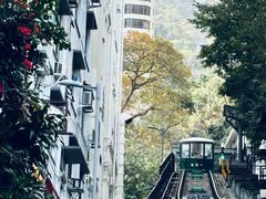 -太平山顶