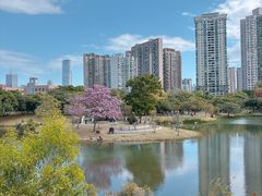 -四海公园(南山区)