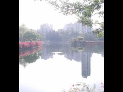 -深圳龙潭公园