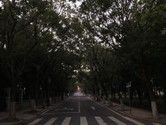 -八大关景区