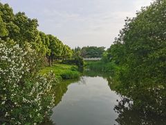 -贡湖湾湿地公园