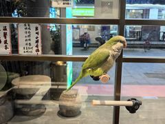 -大宅院(西溪路店)