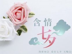 -大唐朝汽车租赁有限公司