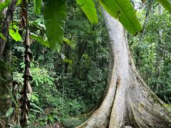 -中国科学院西双版纳热带植物园