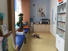 -芭比堂动物医院·犬猫全科·异宠专科(雁塔分院)