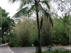 -蓝湾碧波·老字号·疍家非遗海上餐厅