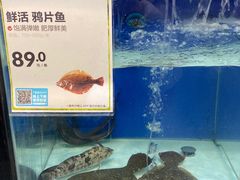 -盒马鲜生(和谐广场店)
