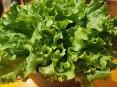 -那胡同里的小烤肉馆(开发区万达店)