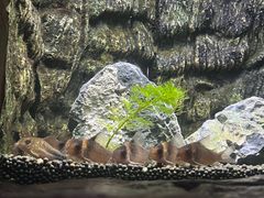 -上海海洋水族馆