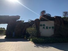 -海珠儿童公园