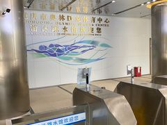 -重庆市奥林匹克体育中心-游泳跳水馆