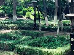 -水磨沟公园