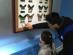 -上海昆虫博物馆