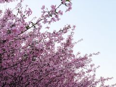 -天鹅湖体育公园