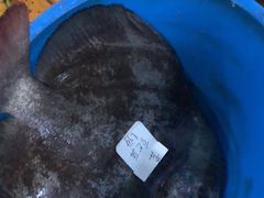-蓝湾碧波·老字号·疍家非遗海上餐厅