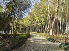 -兰亭风景区
