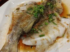 清蒸鲈鱼-永和园酒楼