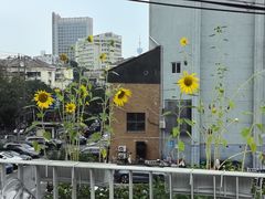 -北芒BEIMO COFFEE(五台山店)