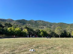 -北京西山国家森林公园